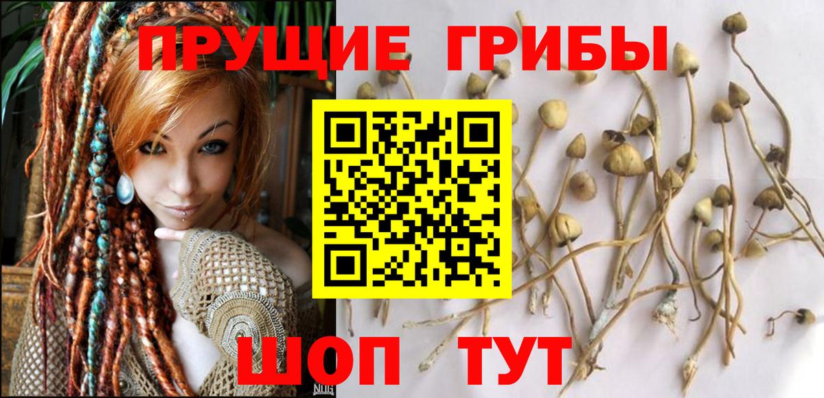 Галлюциногенные грибы Magic Shrooms Мурино