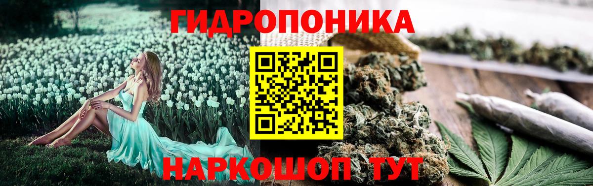 Каннабис конопля  Канабис Ganja  Канабис ГИДРОПОН  Мурино  Бошки Шишки гибрид  Вход с VPN 